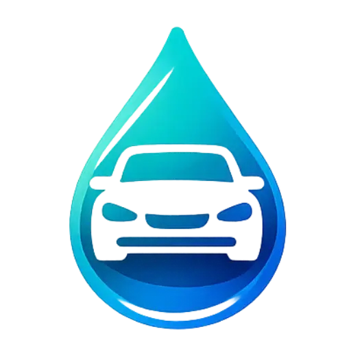 Lavage auto à domicile Raves